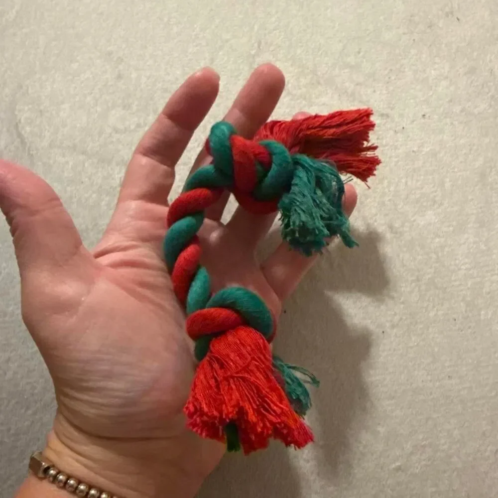 red and green rope DOG TOY